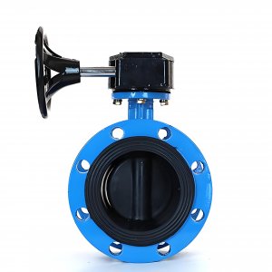 法蘭式蝸輪蝸桿蝶閥DN125，1.6Mpa橡膠密封